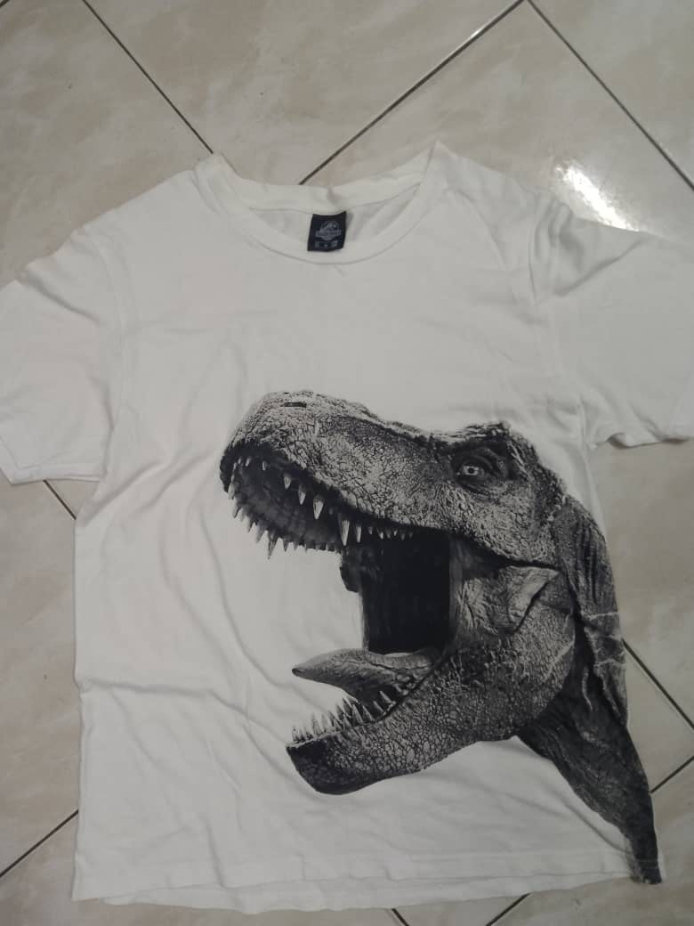 Kinder T-Shirt Für Jungen „Ich Bin 4“ Mit T-Rex Dino – Geburtstags-Shirt Aus Baumwolle, Kurzärmlig