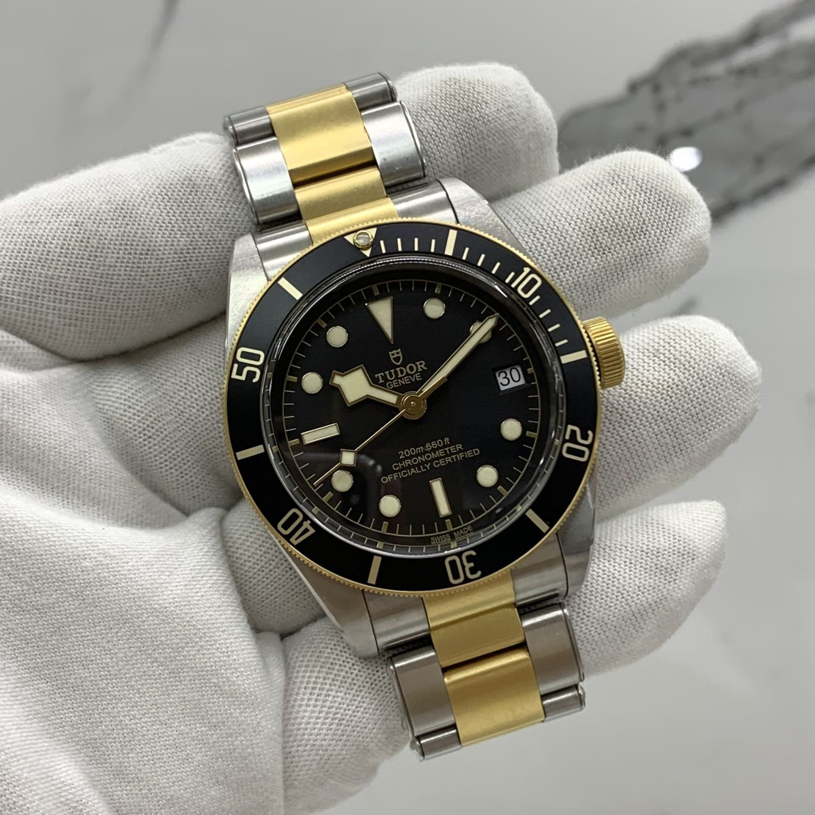 Tudor 79733n 2025