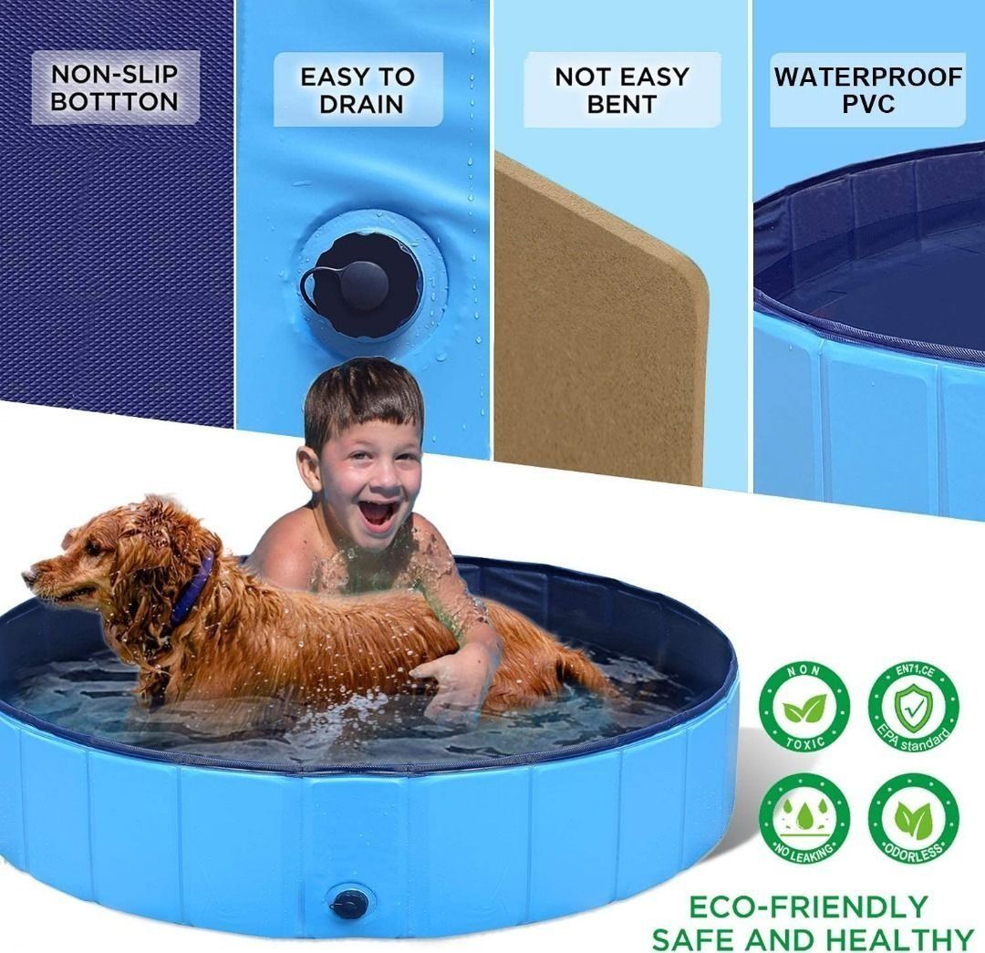 Kiddie pool for dogs shop