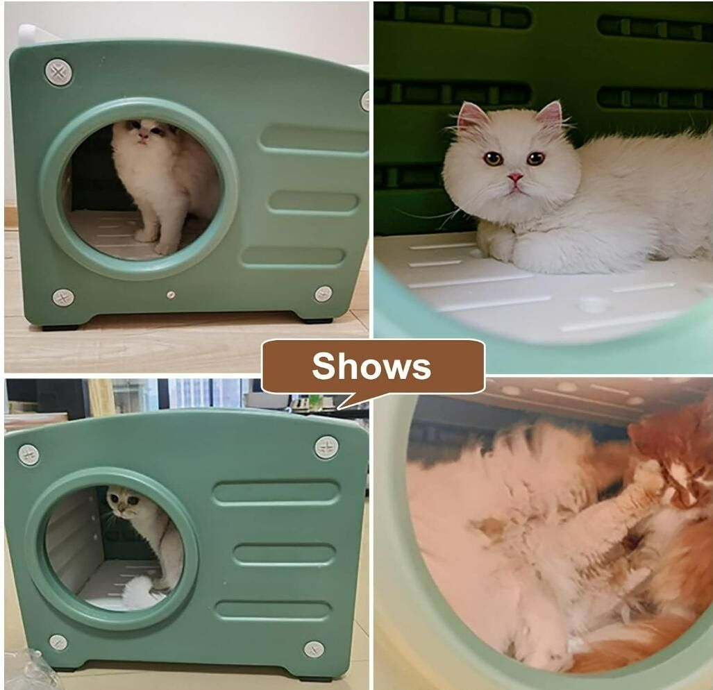 Plastic cat bed sales