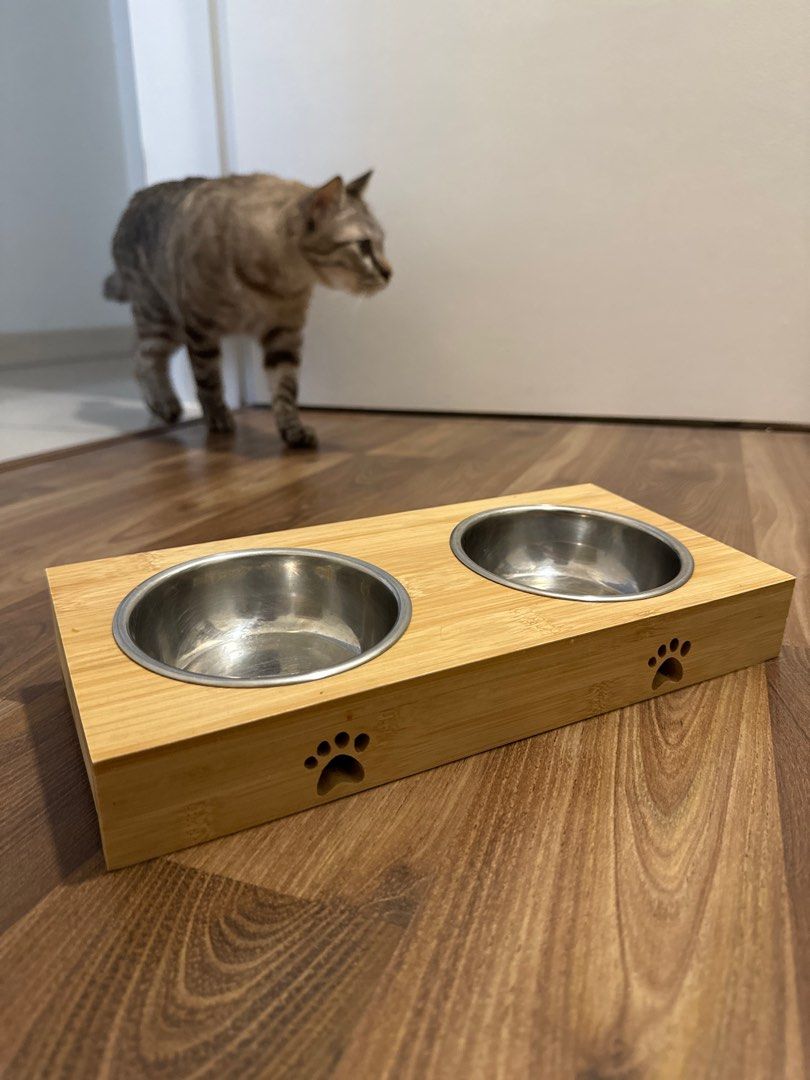 Cat food bowl stand