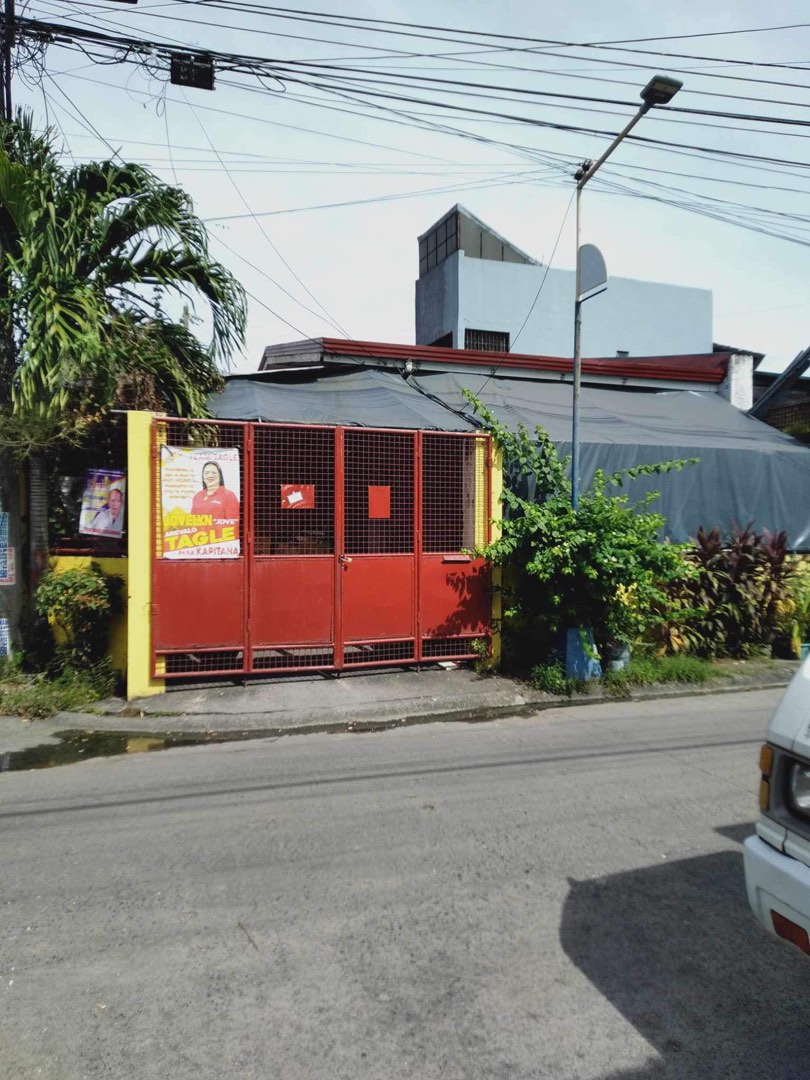 House & Lot Camella East Springville Bacoor Cavite, Property, For Sale