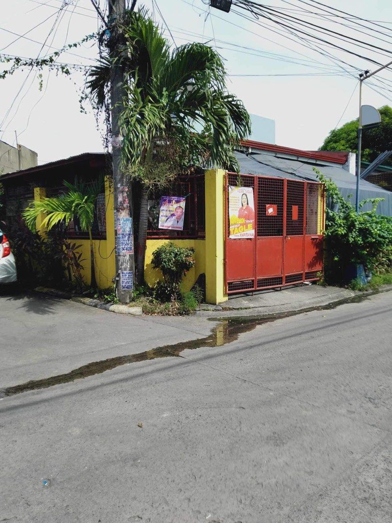 House & Lot Camella East Springville Bacoor Cavite, Property, For Sale