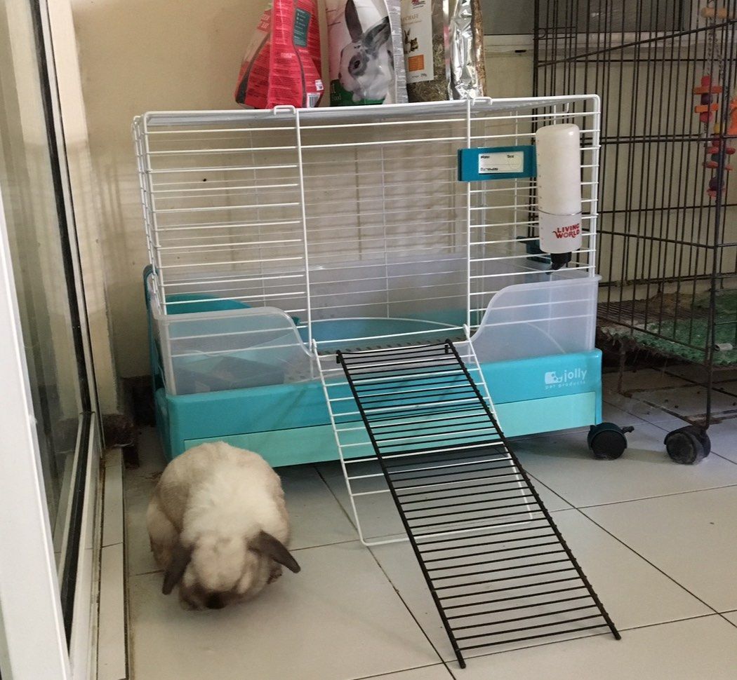 Jolly Super Home rabbit cage