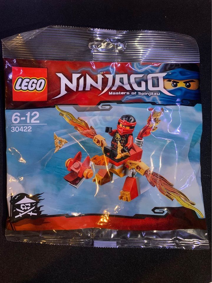 Lego store ninjago 30422
