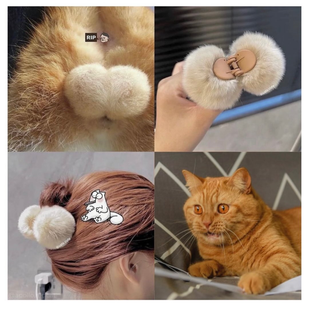 Cute discount cat balls