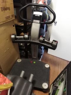 Pro Form Vibration Machine with weights