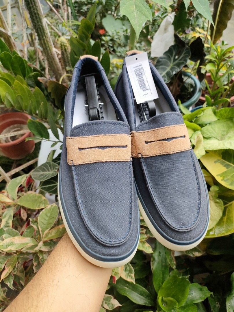Sperry mainsail 2024