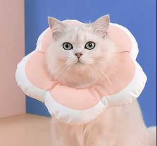 （分類：）位於 。 由 kexccc 提交（商品編號 1272619518，圖片 1）。簡介： 。