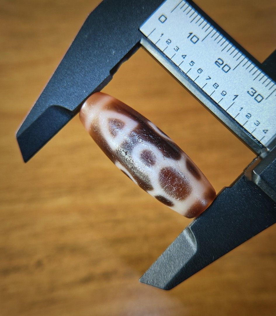 西蔵天珠 the dzi beads of tibet 激レア 絶版本