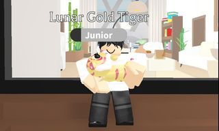 (Category: ) located in . Submitted by lil_yams (Listing ID 1272592031, Image 1). Description: .