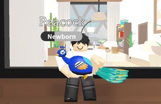 (Category: ) located in . Submitted by lil_yams (Listing ID 1272589454, Image 1). Description: .