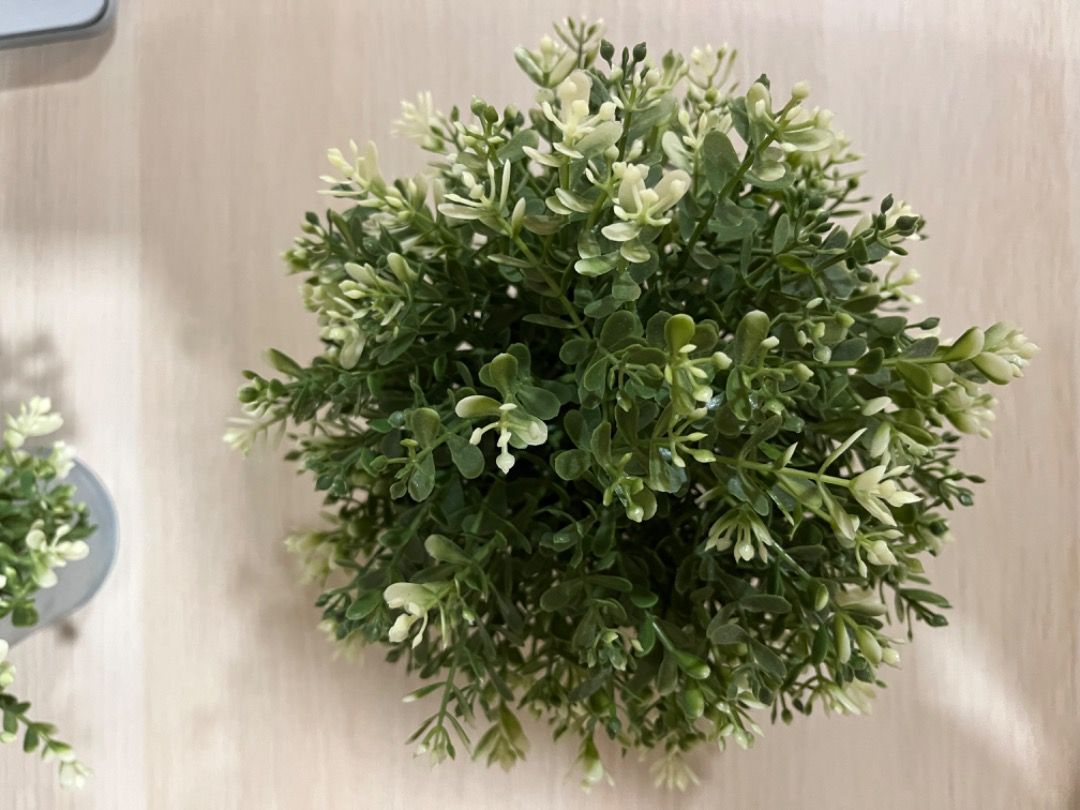 Artificial Potted Plant without Pot, Furniture & Home Living, Home