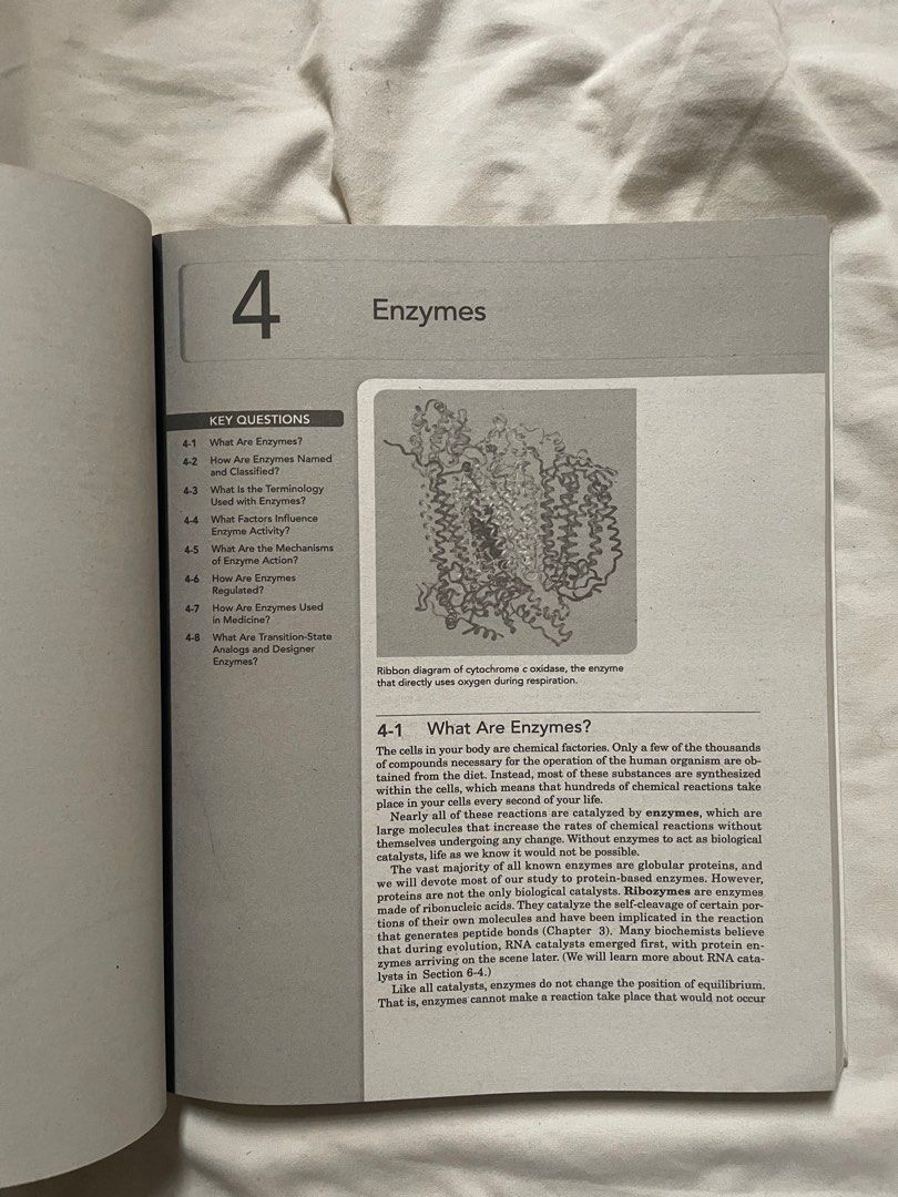 Biochemistry by Bettelheim, Brown, Campbell, Farrell, & Torres (Category: Textbooks) located in Angeles City. Submitted by mars.29 (Listing ID 1272542931, Image 2). Description: - Super minimal highlights - Good as new - Shipping shouldered by buyer - MOP: Gcash/BDO.