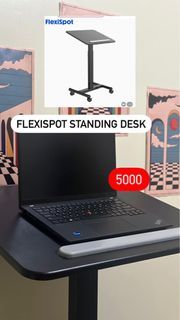 Flexispot Manual standing desk