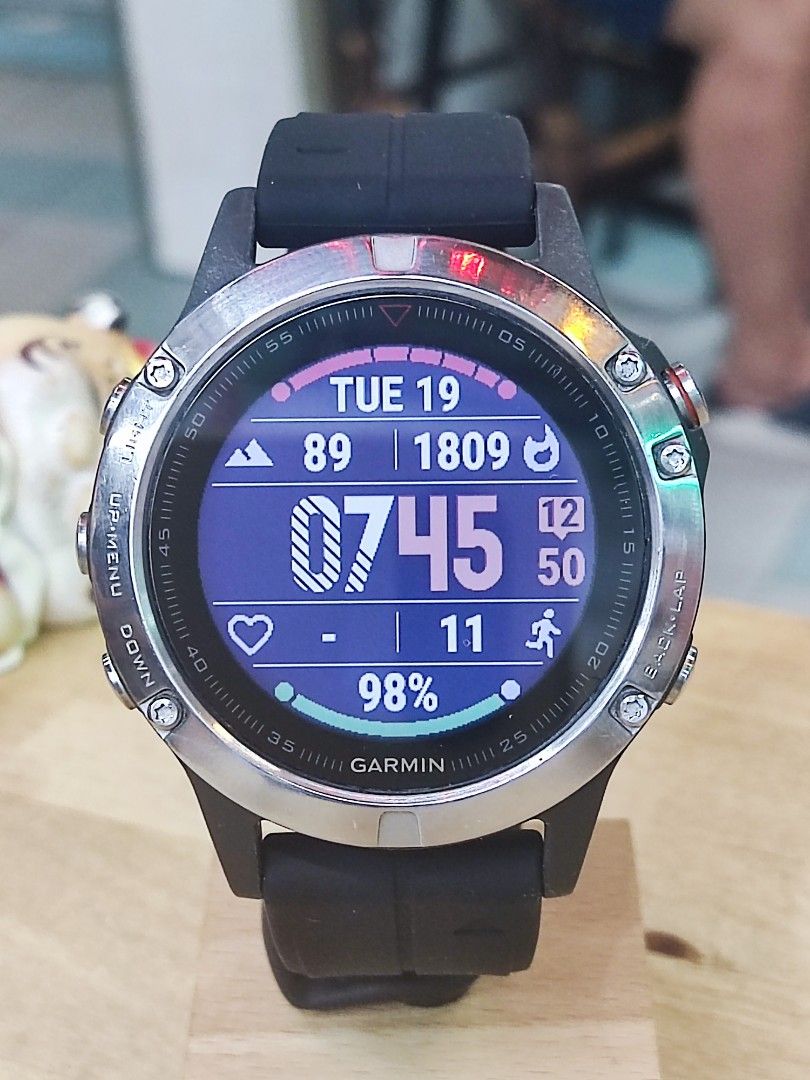 Xmas Sale Garmin Fenix 5 Apac sapphire Gps Multi Sport Smart watch