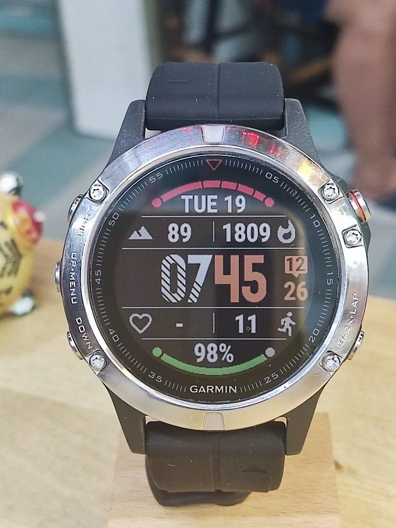 Garmin fenix 5 cheap silver sapphire