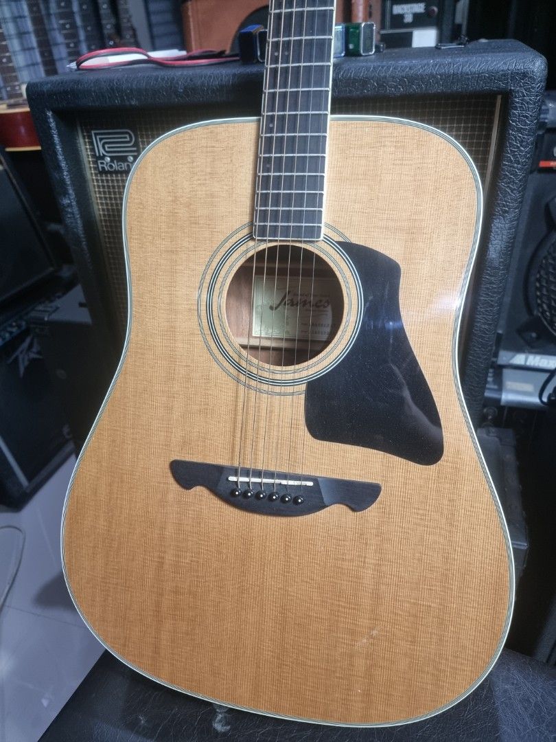 James acoustic guitar, Hobbies & Toys, Music & Media, Musical
