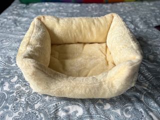 (Category: ) located in . Submitted by CrazyPlantLady (Listing ID 1272459203, Image 1). Description: .