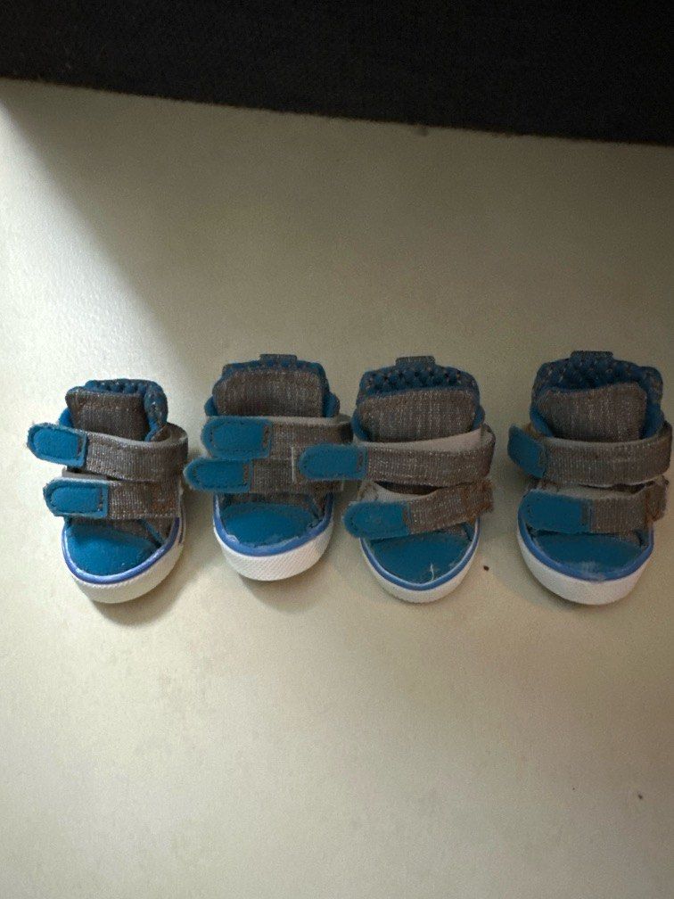 Kmart dog shoes top