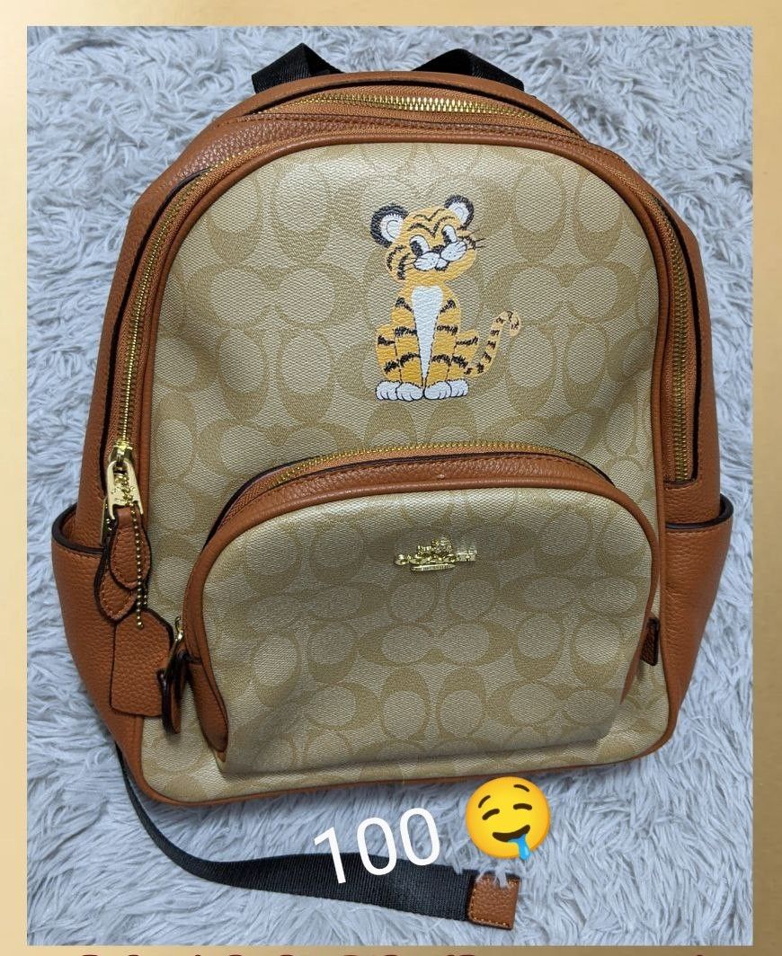 PRELOVED BACKPACK BAG