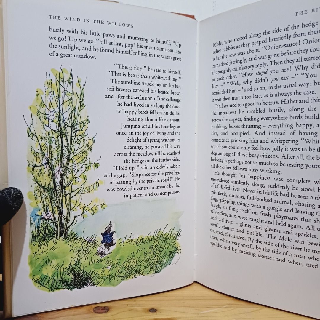 The Wind in the Willows by Kenneth Grahame Vintage 1976 Illustrated ...