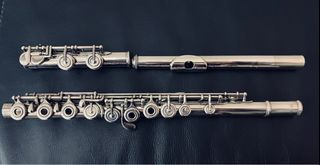 （分類：）位於 。 由 jerrysunsax 提交（商品編號 1272577019，圖片 1）。簡介： 。