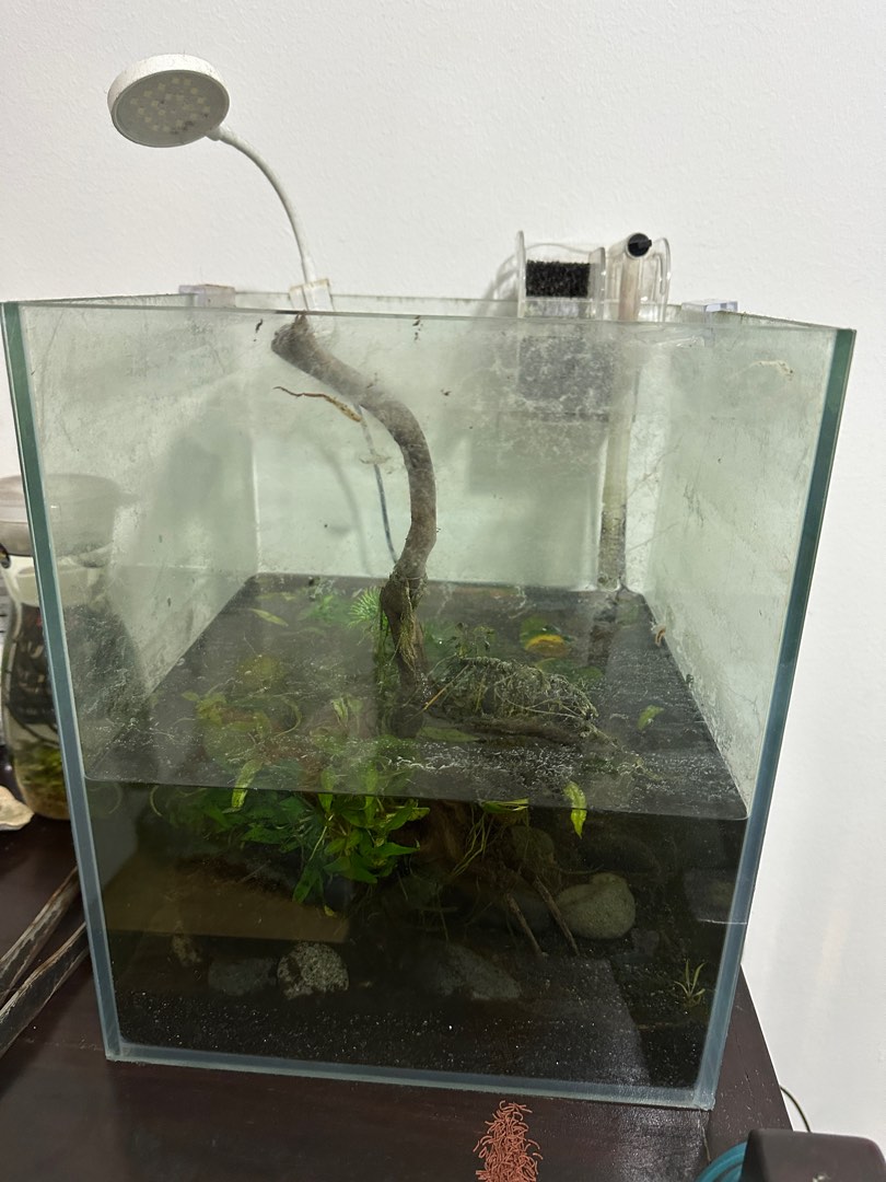 View of 30x30x30cm (7 gallon) cube fish tank AS-IS AND 25x25x30cm tank AS-IS ...