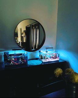 (Category: ) located in . Submitted by dmalhi (Listing ID 1268893494, Image 1). Description: .