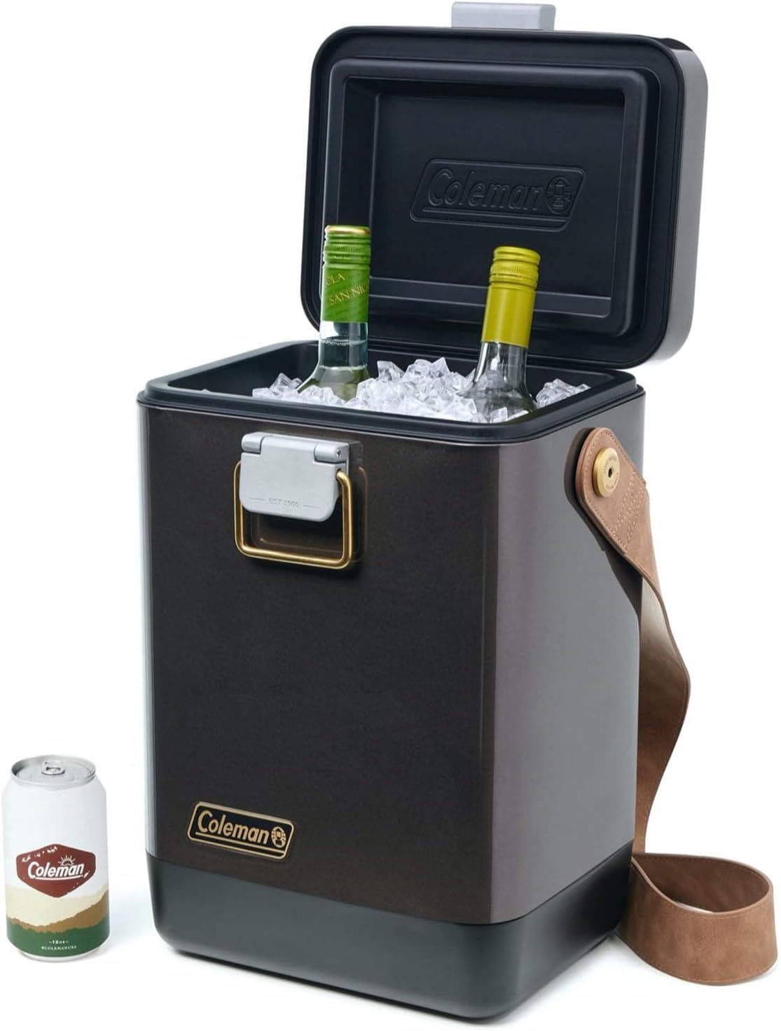 Coleman wine cooler online