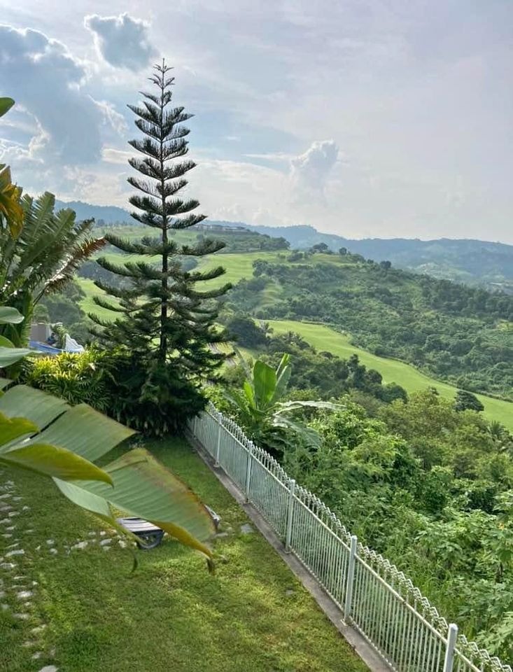 (Category: ) located in . Submitted by PhilRealEstateFinder (Listing ID 1268893008, Image 1). Description: .