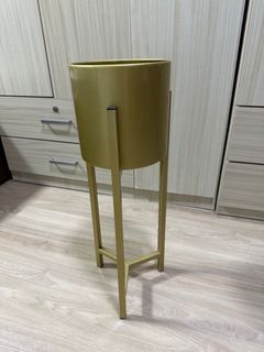 Golden plant pot