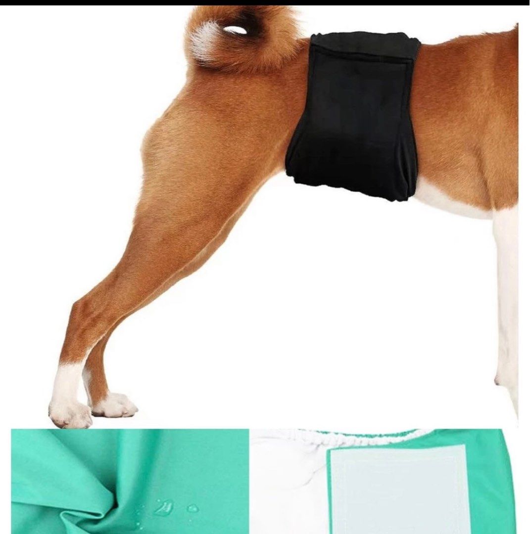 Male Dog Waterproof Washable Reusable Pant