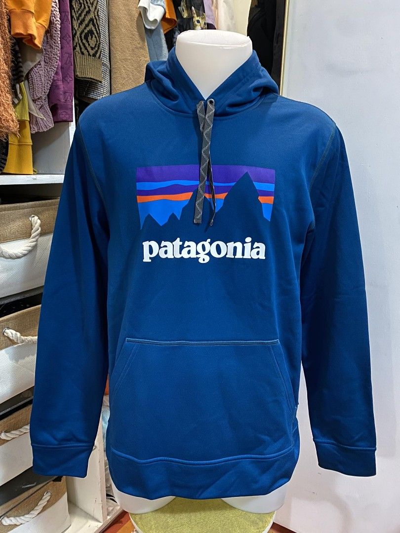 Patagonia shop sticker hoodie hot sale