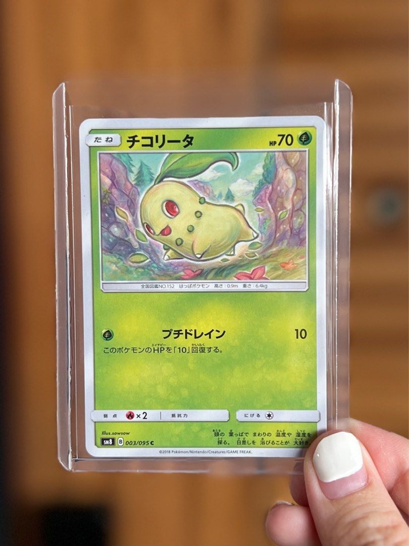 Pokemon Cards Booster Box EX/NM Japanese Pokemon Card - Chikorita