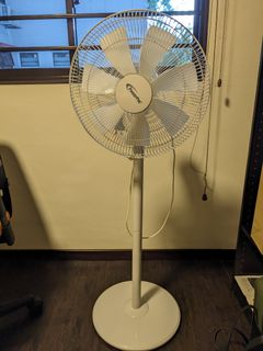 (Category: ) located in . Submitted by friendlypal (Listing ID 1268895342, Image 1). Description: .