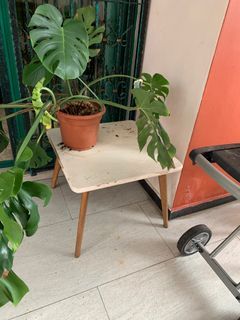 Table, pots & rack