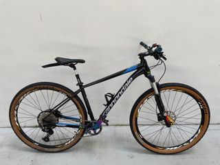 2019 cannondale trail shop 7