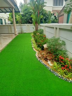 (Category: ) located in . Submitted by backyardgarden (Listing ID 1272657605, Image 1). Description: .