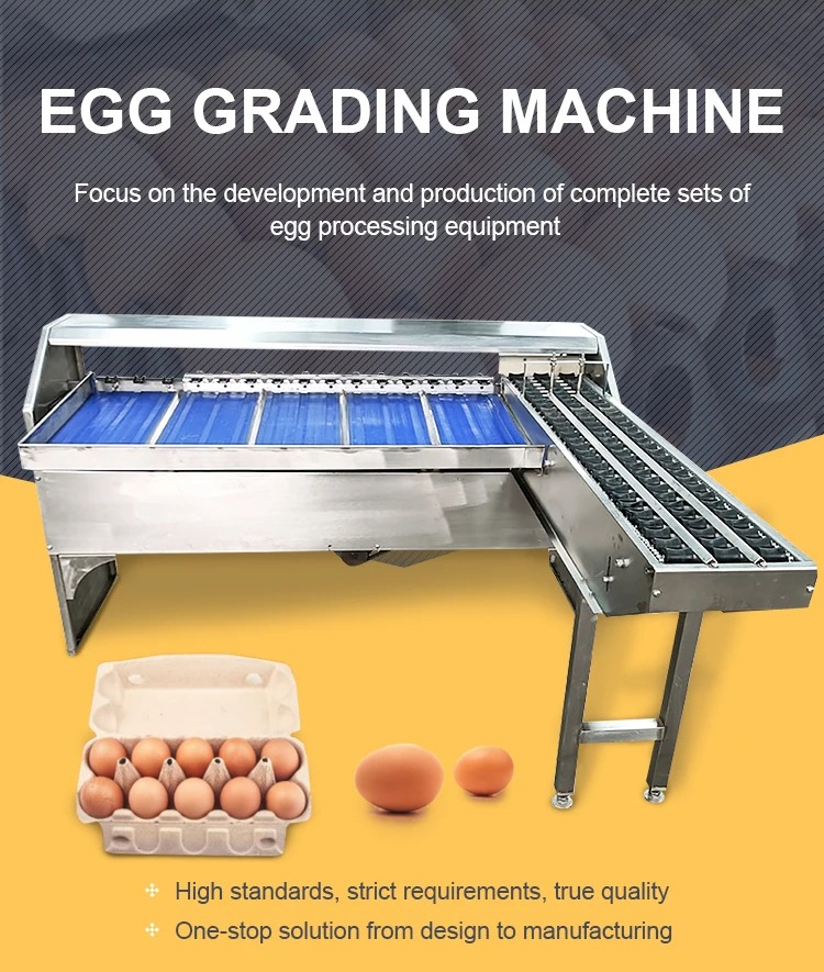 Automatic Stainless Steel Egg Packing Machine/Egg Weight Grader Machine