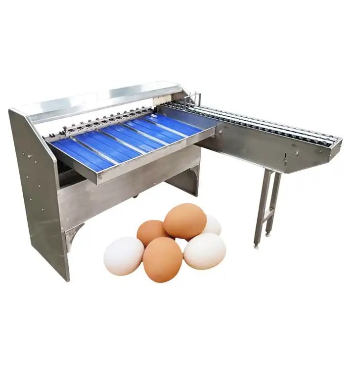 Chicken Farm Automatic 5 Rows Eggs Grader Sorting Grading Weigh Egg
