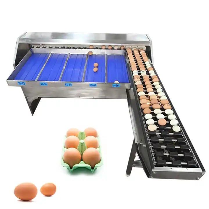 Chicken Farm Automatic 5 Rows Eggs Grader Sorting Grading Weigh Egg