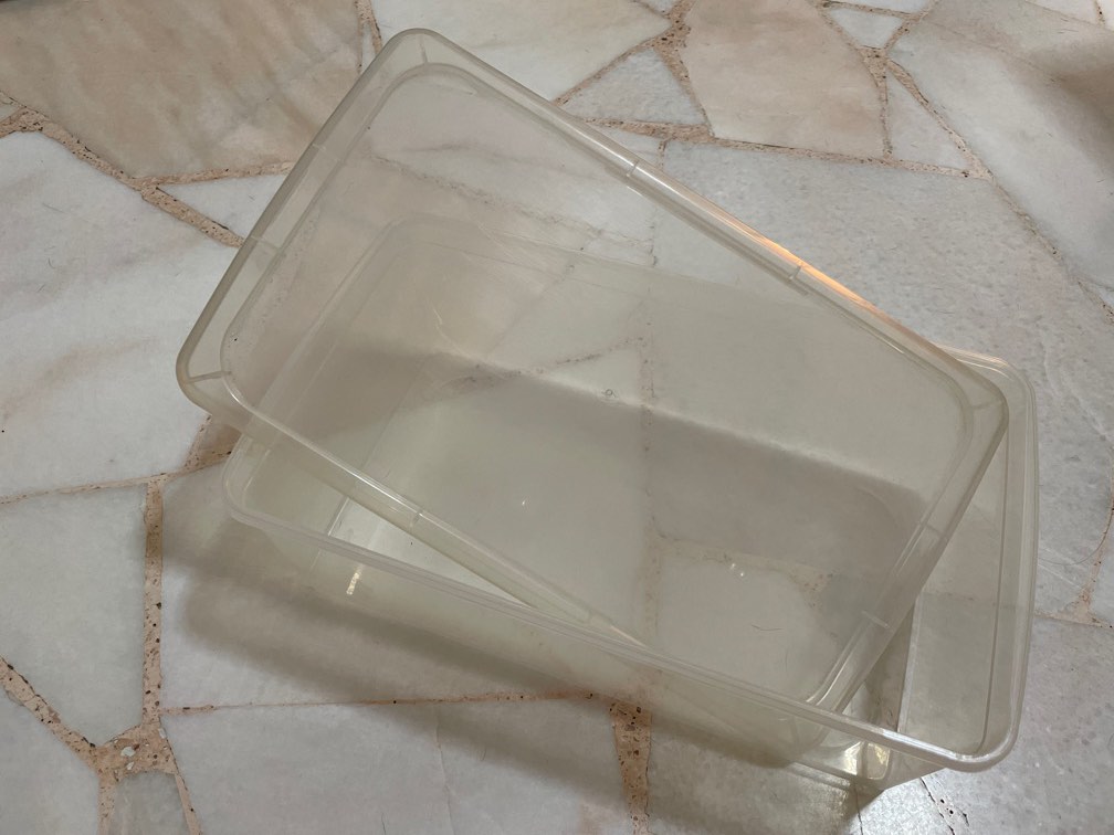 Daiso Shoe Box, Everything Else on Carousell