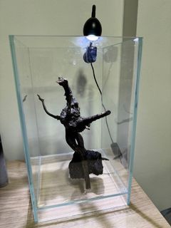 (Category: ) located in . Submitted by ahjor (Listing ID 1272800786, Image 1). Description: .