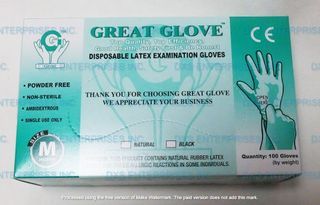 GREAT GLOVE DISPOSABLE LATEX GLOVES- AVAILABLE IN DIFFERENT SIZES