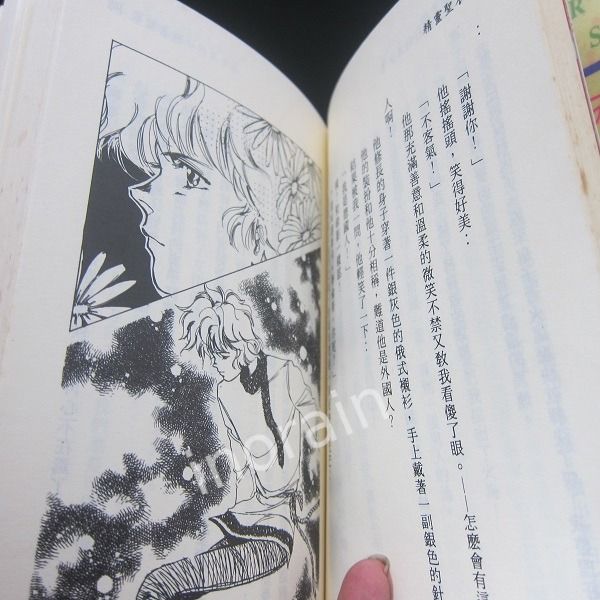 Hitomi FUJIMOTO. 藤本 ひとみ Chinese Novel 藤本瞳 新花织高校恋爱 