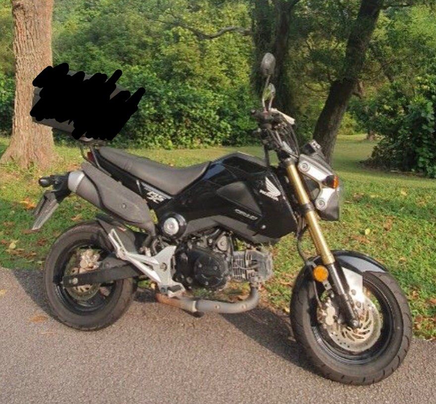 Honda msx outlet grom for sale