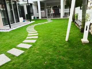 (Category: ) located in . Submitted by backyardgarden (Listing ID 1272657253, Image 1). Description: .