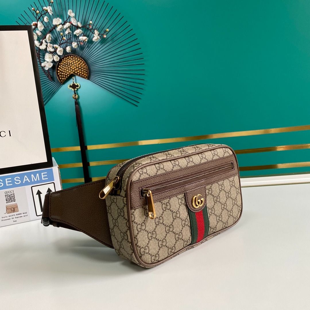 Gucci ophidia gg belt bag best sale