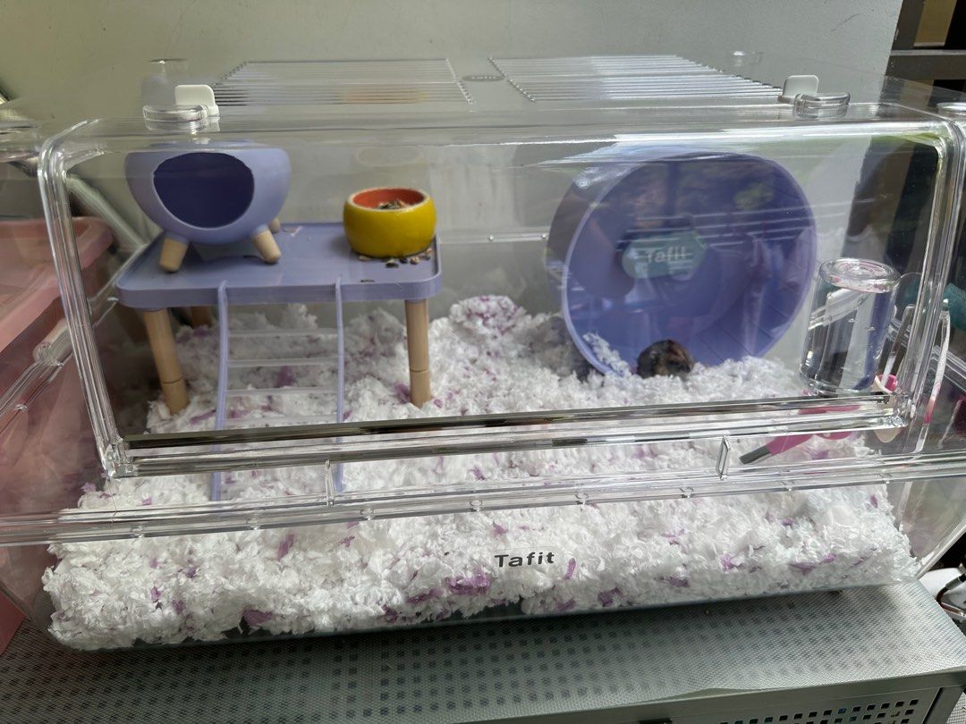 Whole set of pastel colour Hamster Acrylic Cage with accessories